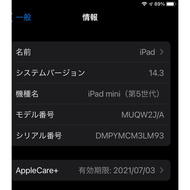 ipad mini 5 64GB wifi Apple Care 付き 2