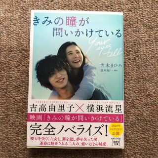 きみの瞳が問いかけている(文学/小説)