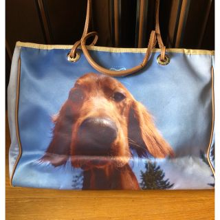 アニヤハインドマーチ(ANYA HINDMARCH)のアニヤハインドマーチ　転写プリントバック美品(ショルダーバッグ)