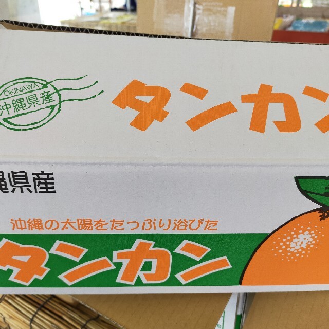 燕様専用ページ 食品/飲料/酒の食品(フルーツ)の商品写真