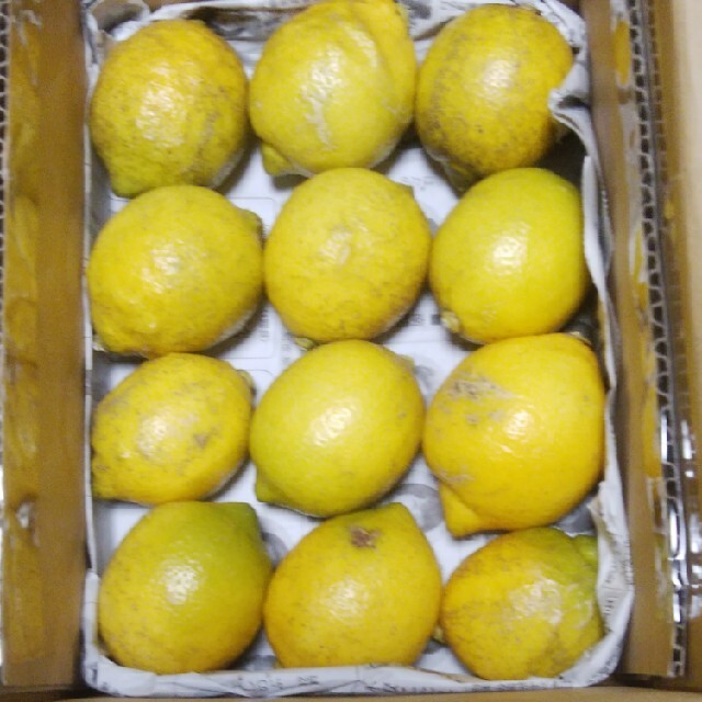 広島県大崎上島無農薬レモン　3kg 食品/飲料/酒の食品(フルーツ)の商品写真