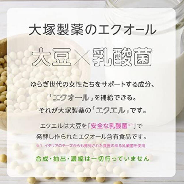 大塚製薬(オオツカセイヤク)の【未開封 新品】EQUELLE エクエル パウチ 2袋セット 食品/飲料/酒の健康食品(その他)の商品写真