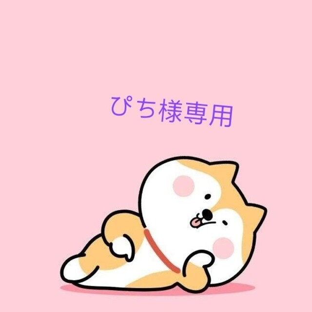 ぴち様 abab 誕生日プレゼント 17010円 store.alasdkamall.com