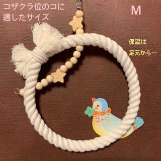 ピピさま《星のぬくぬくM》《ゆらゆらツンツン》《ツンツンかみかみ》《プラ鈴》(鳥)