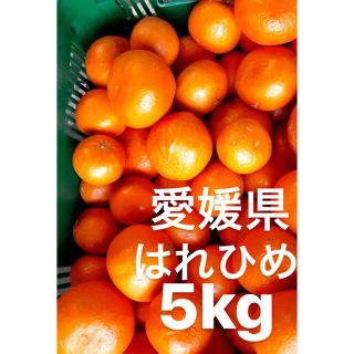 愛媛県　はれひめ　5kg(フルーツ)