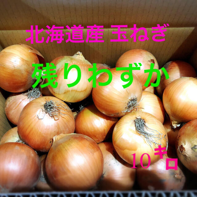 北海道産農家直送玉ねぎ 値下げ中 食品/飲料/酒の食品(野菜)の商品写真