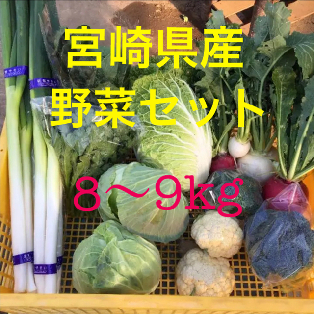 宮崎県産 野菜セット 8～9kg