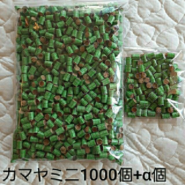 カマヤミニ　弱　1000個+数十個