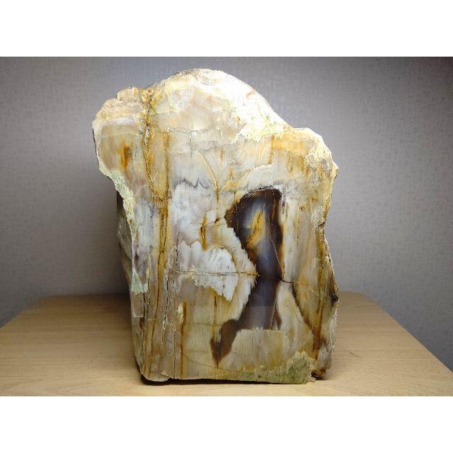 珪化木 8.2kg ジャスパー 碧玉 原石 鑑賞石 自然石 水石 誕生石 鉱物 珪化木 8.2kg ジャスパー 碧玉 原石 鑑賞石 自然石 水石 誕生石 鉱物