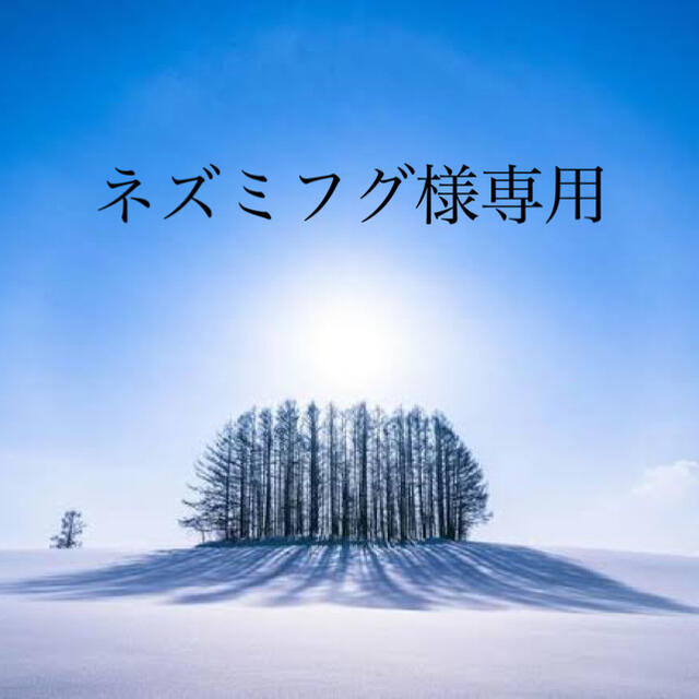 健康第一☆ネズミフグ様専用 ななつぼし玄米30kgのサムネイル