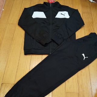 プーマ(PUMA)の新品★プーマ   ジャージ上下   160(ジャケット/上着)