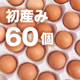 【期間限定】蔵王鶏園の「初産みたまご」(野菜)