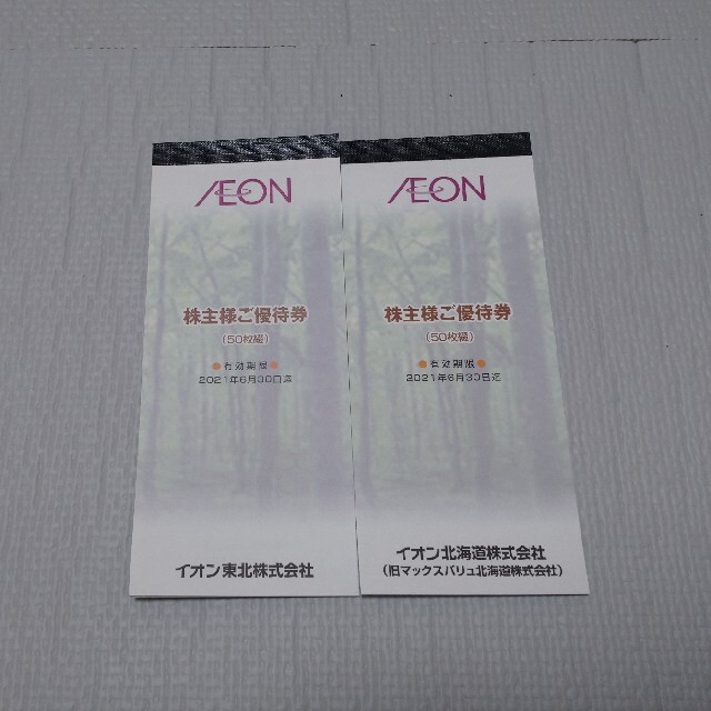 イオン東北 北海道株主優待券10000円分 イオン東北 北海道株主優待券10000円分