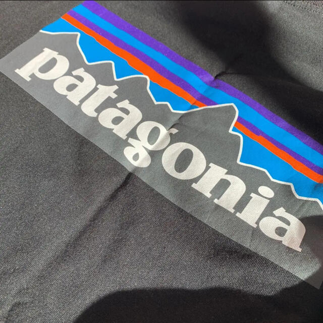 patagonia(パタゴニア)のパタゴニア　ロンT レディースのトップス(Tシャツ(長袖/七分))の商品写真