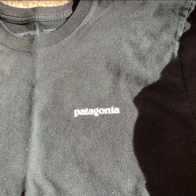 patagonia(パタゴニア)のパタゴニア　ロンT レディースのトップス(Tシャツ(長袖/七分))の商品写真