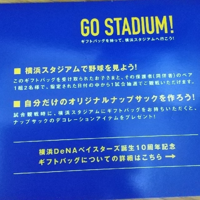 横浜DeNAベイスターズ(ヨコハマディーエヌエーベイスターズ)の新品  横浜DeNAベイスターズ10周年記念ギフトバッグ スポーツ/アウトドアの野球(記念品/関連グッズ)の商品写真