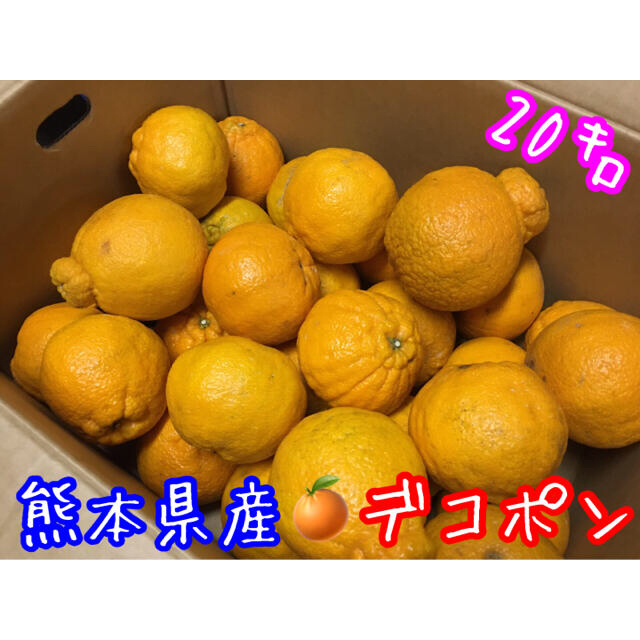 熊本県産 不知火✴︎デコポン 箱込約20㌔