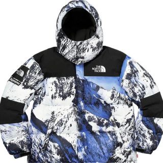 シュプリーム(Supreme)の専用　supreme the north face雪山(ダウンジャケット)