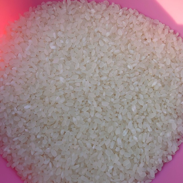 熊本県産　10kg　令和二年　新米　ヒノヒカリ　米/穀物