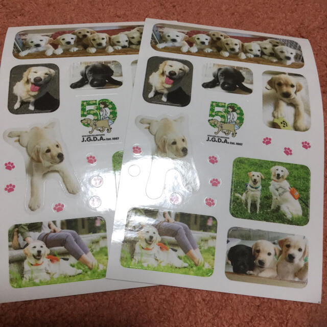 Labrador Retriever かわいい犬のシール 2枚セットの通販 By まとめ買い大歓迎 ふわぽんのお店 ラブラドールリトリーバーならラクマ Labrador Retriever かわいい犬のシール 2枚セットの通販 By まとめ買い大歓迎 ふわぽんのお店 ラブラドールリトリーバーならラクマ