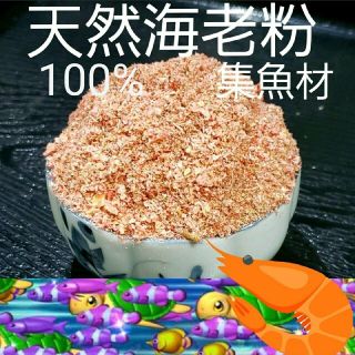 天然　海老粉　100%　集魚材　餌釣り　穴釣り　ワカサギ　海釣り　アジ　メバル(ルアー用品)