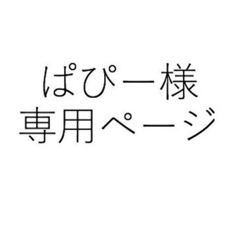 ぱぴー様専用ページ(その他)