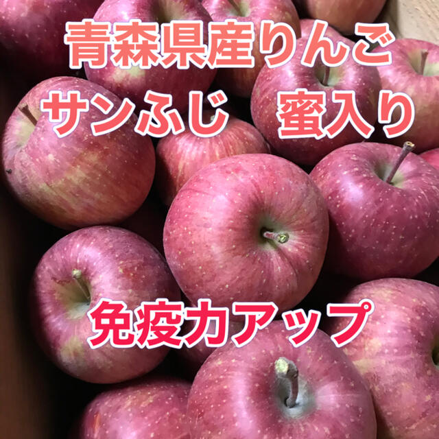 青森県産りんご　サンふじ　家庭用 食品/飲料/酒の食品(フルーツ)の商品写真