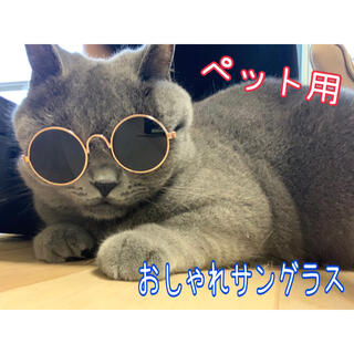 イエロー おしゃれ メガネ サングラス 猫用 犬用 ペット用品(猫)