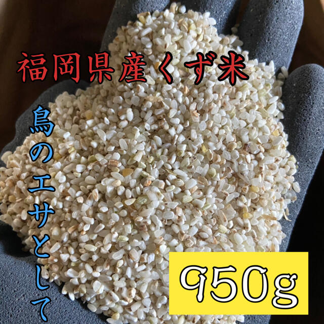 くず米 950g 米・雑穀 鳥の餌 飼料 肥料 食品/飲料/酒の食品(米/穀物)の商品写真