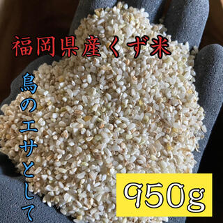 くず米 950g 米・雑穀 鳥の餌 飼料 肥料(米/穀物)