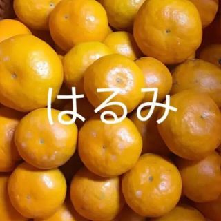 はるみ　訳あり　5キロ(フルーツ)