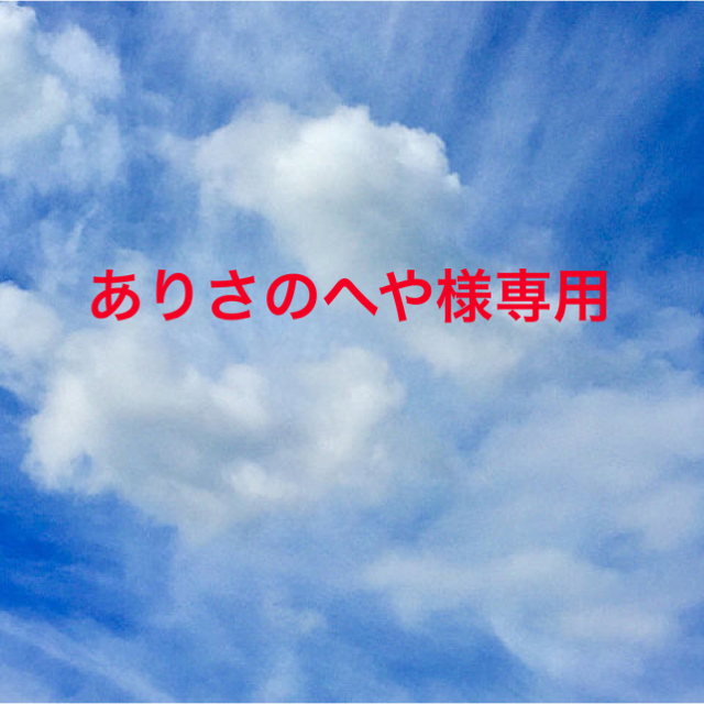 ありさの部屋様専用ページ コスメ/美容のスキンケア/基礎化粧品(クレンジング/メイク落とし)の商品写真