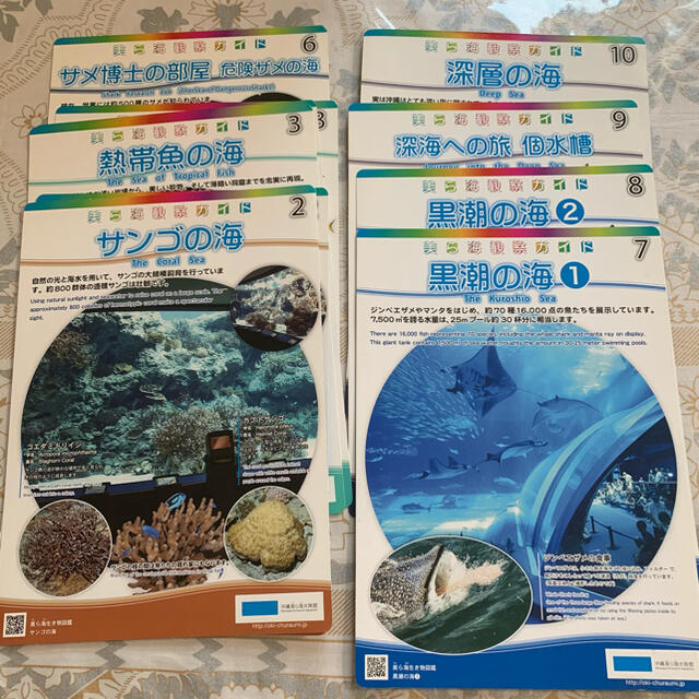 沖縄美ら海水族館 美ら海の図鑑 B5サイズカードの通販 By リラックマ S Shop ラクマ 沖縄美ら海水族館 美ら海の図鑑 B5サイズカードの通販 By リラックマ S Shop ラクマ
