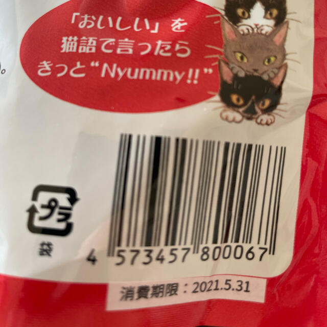 【未開封】 Nyummy ニャミー キャットフード 500g その他のペット用品(ペットフード)の商品写真