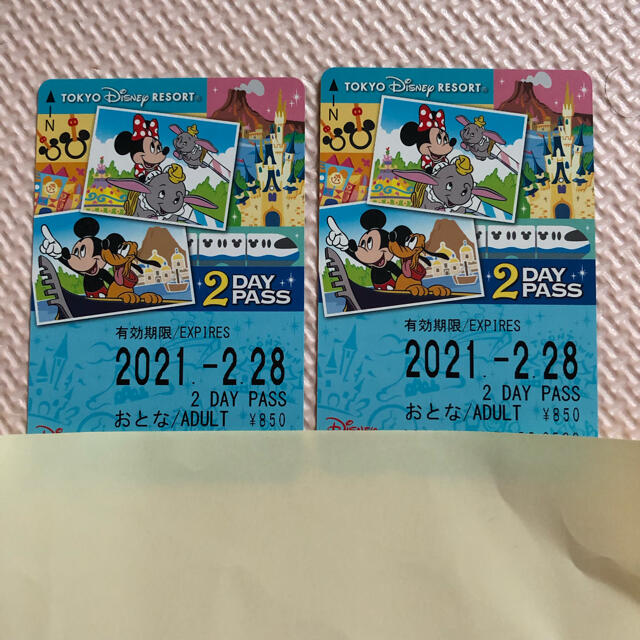 ディズニーリゾートライン 2day pass 未使用 チケットの施設利用券(遊園地/テーマパーク)の商品写真