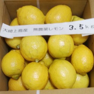 広島県大崎上島無農薬レモン　3.5kg(フルーツ)