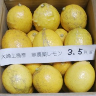 広島県大崎上島無農薬レモン　3.5kg(フルーツ)