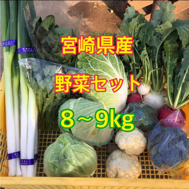 宮崎県産 野菜セット 8～9kg 食品/飲料/酒の食品(野菜)の商品写真