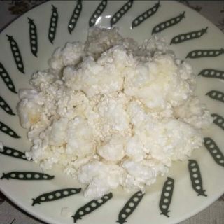 米米麹農家の生米麹　500g 最安値！！！（甘酒どぶろく、塩麹、醤油麹、味噌に）(米/穀物)