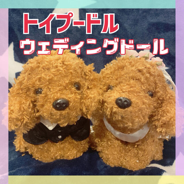 トイプードル ウェディングドール ウェルカム ドール ブライダル ぬいぐるみの通販 By Runiii S Shop ラクマ トイプードル ウェディングドール ウェルカム ドール ブライダル ぬいぐるみの通販 By Runiii S Shop ラクマ