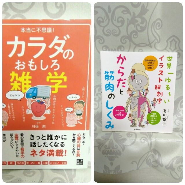 二冊】からだと筋肉のしくみ 世界一ゆる～いイラスト解剖学、カラダのおもしろ雑学