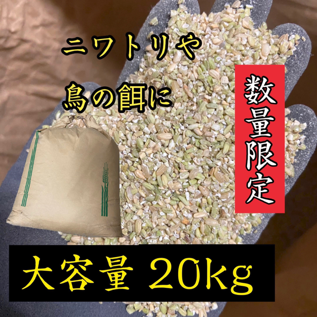 くず米 20kg  砕米・雑穀 鳥の餌 飼料 肥料 青米  食品/飲料/酒の食品(米/穀物)の商品写真