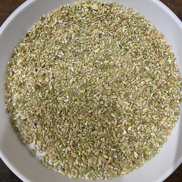 くず米 20kg 砕米・雑穀 鳥の餌 飼料 肥料 青米 の通販 by くず米 20kg 砕米・雑穀 鳥の餌 飼料 肥料 青米 の通販 by