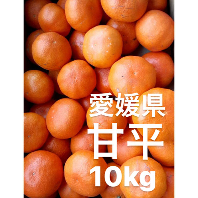 ●愛媛県　甘平　10kg