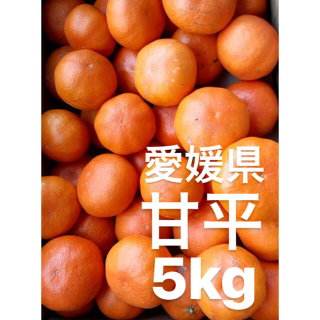 ●愛媛県　甘平　5kg