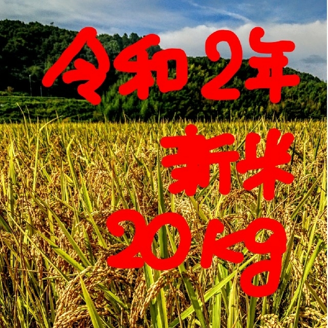 令和２年産新米 低農薬玄米２０キロ 山田錦の里より農家直送。。。兵庫県神戸市品種名