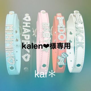 kalen❤︎様専用(猫)