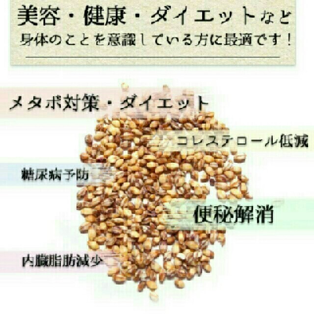 ダイシモチ 食品/飲料/酒の食品(米/穀物)の商品写真
