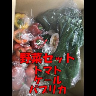 静岡県産野菜セット(トマト、パプリカ、ケール)(野菜)