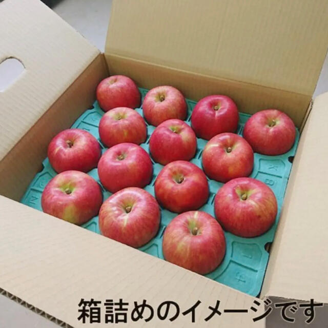 信州産　リンゴ 食品/飲料/酒の食品(フルーツ)の商品写真